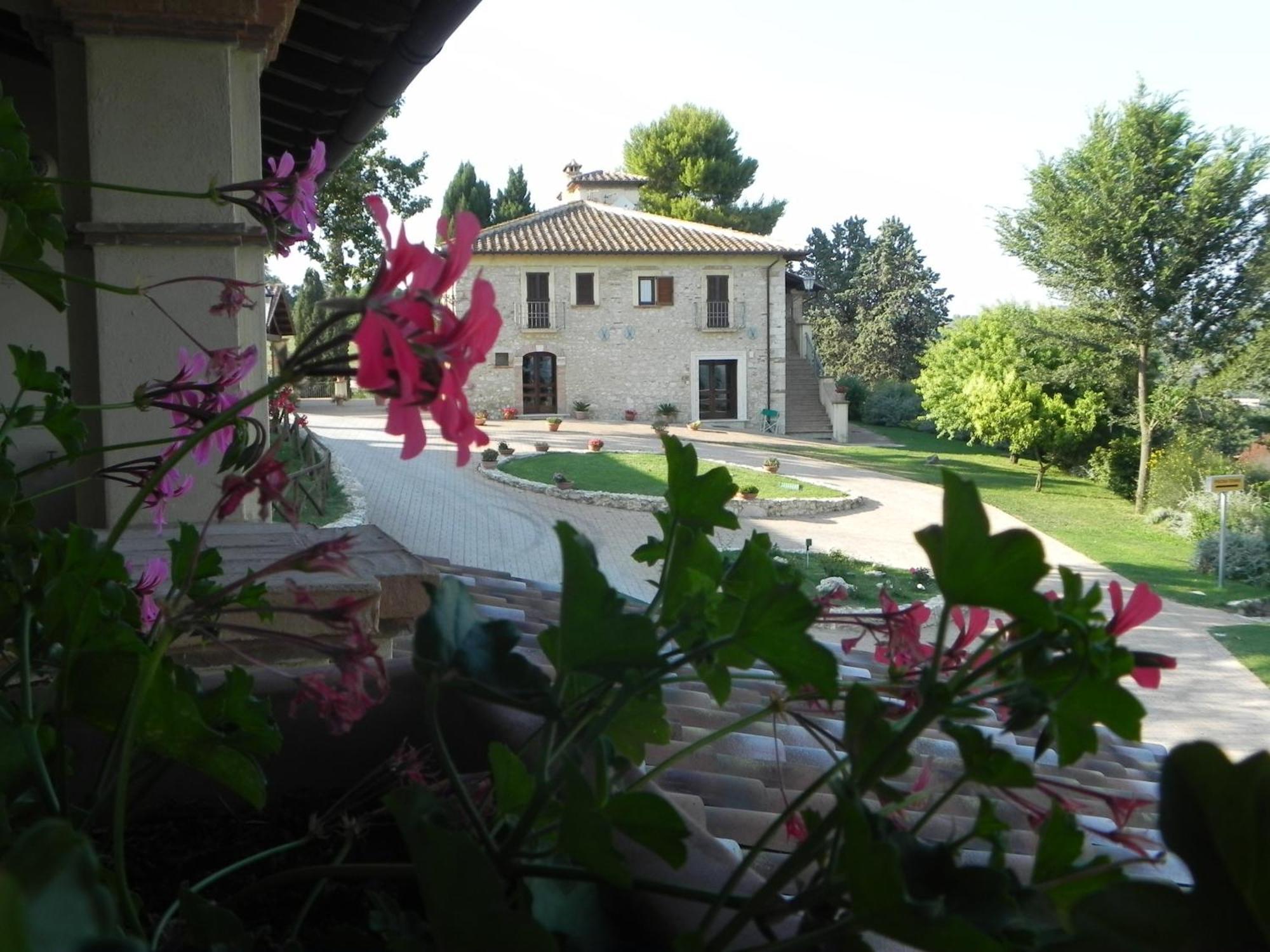 Tenuta Pizzogallo Amelia Bagian luar foto
