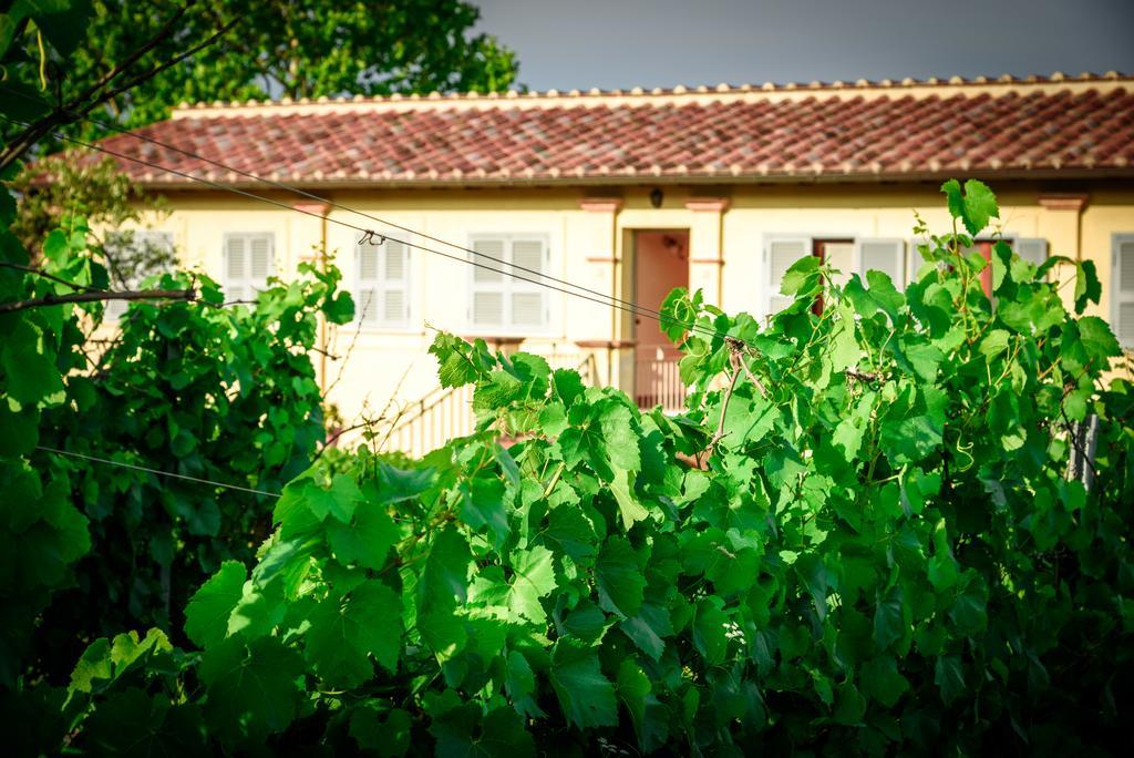 Tenuta Pizzogallo Amelia Bagian luar foto