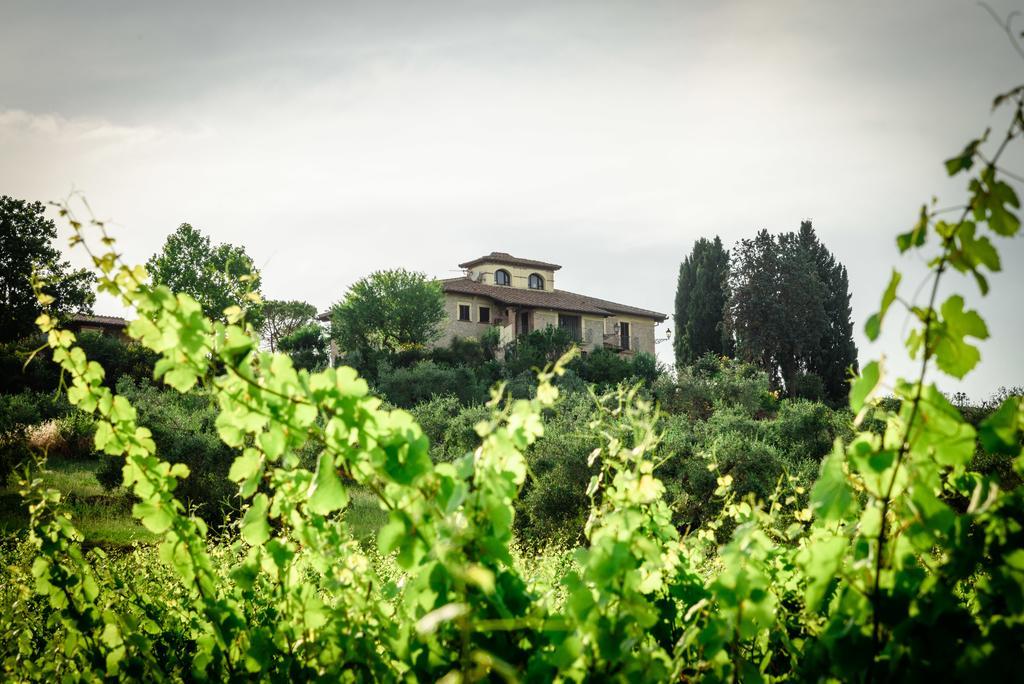 Tenuta Pizzogallo Amelia Bagian luar foto