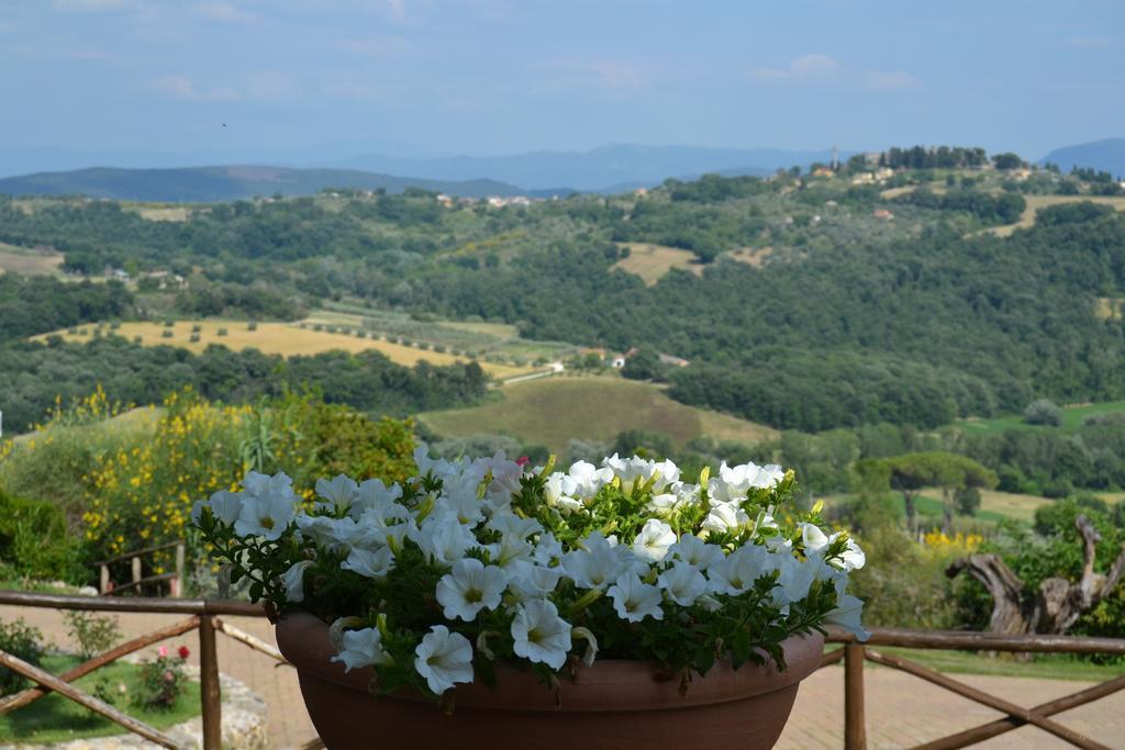 Tenuta Pizzogallo Amelia Bagian luar foto