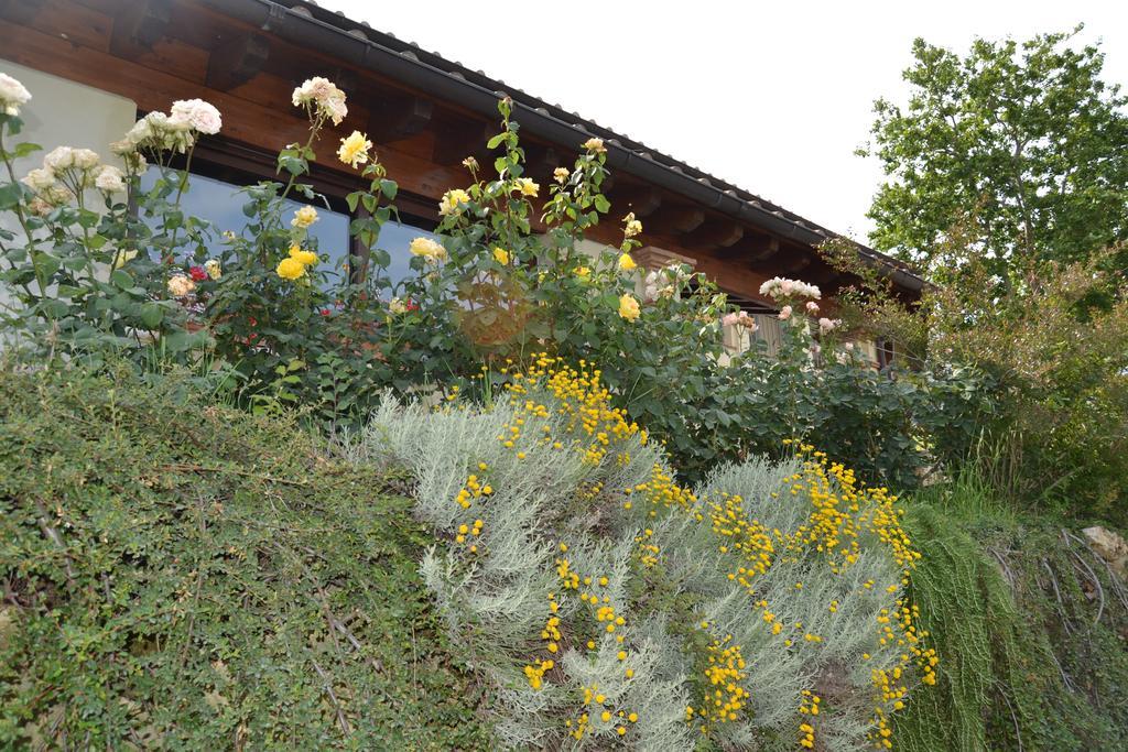 Tenuta Pizzogallo Amelia Bagian luar foto