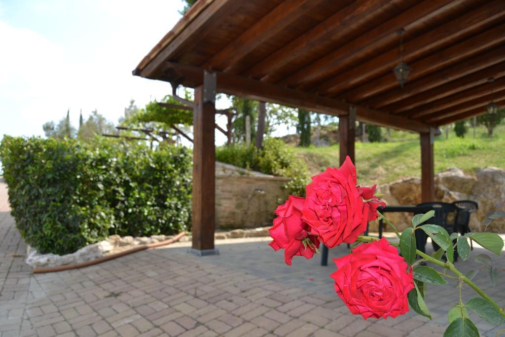 Tenuta Pizzogallo Amelia Bagian luar foto