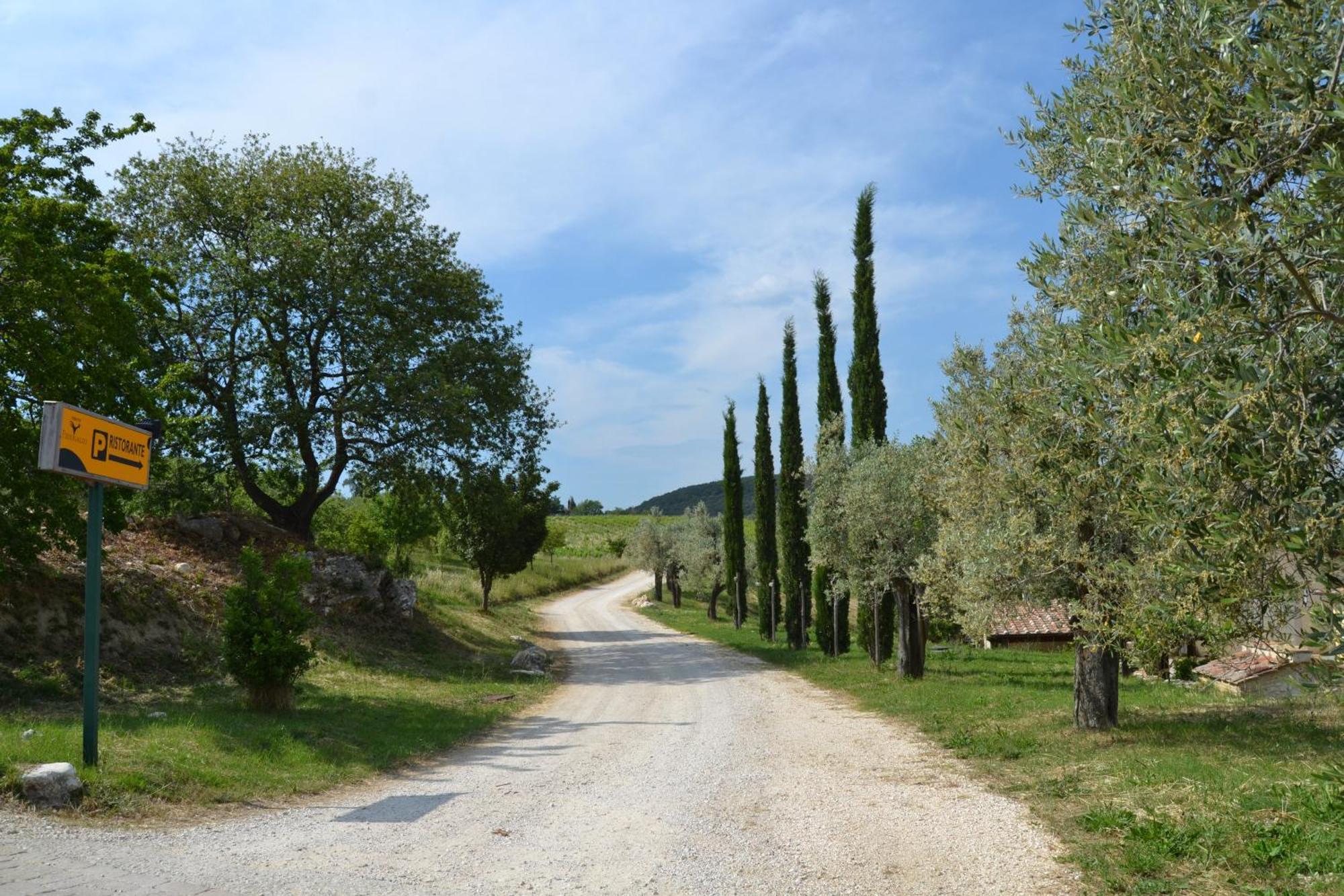 Tenuta Pizzogallo Amelia Bagian luar foto