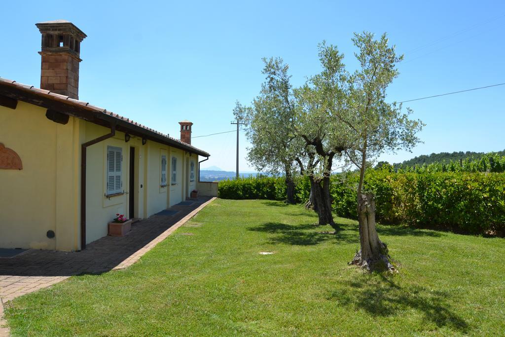 Tenuta Pizzogallo Amelia Bagian luar foto