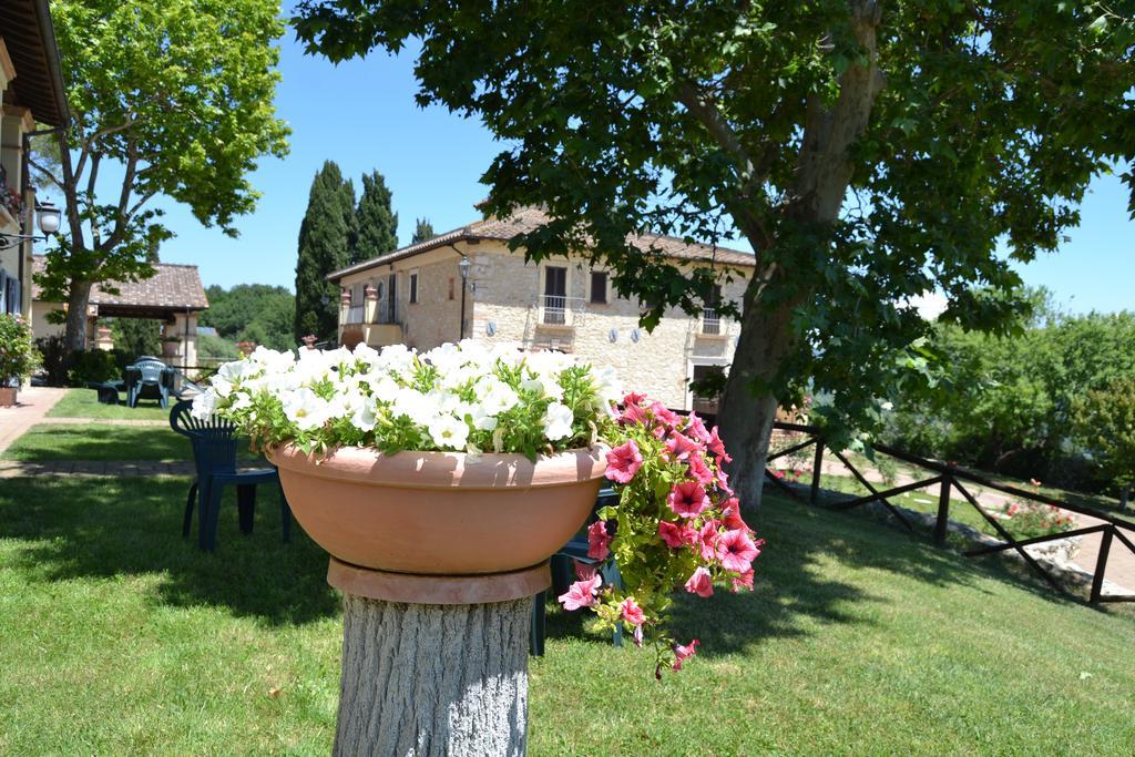 Tenuta Pizzogallo Amelia Bagian luar foto