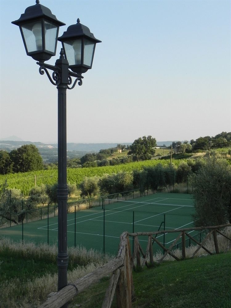 Tenuta Pizzogallo Amelia Bagian luar foto
