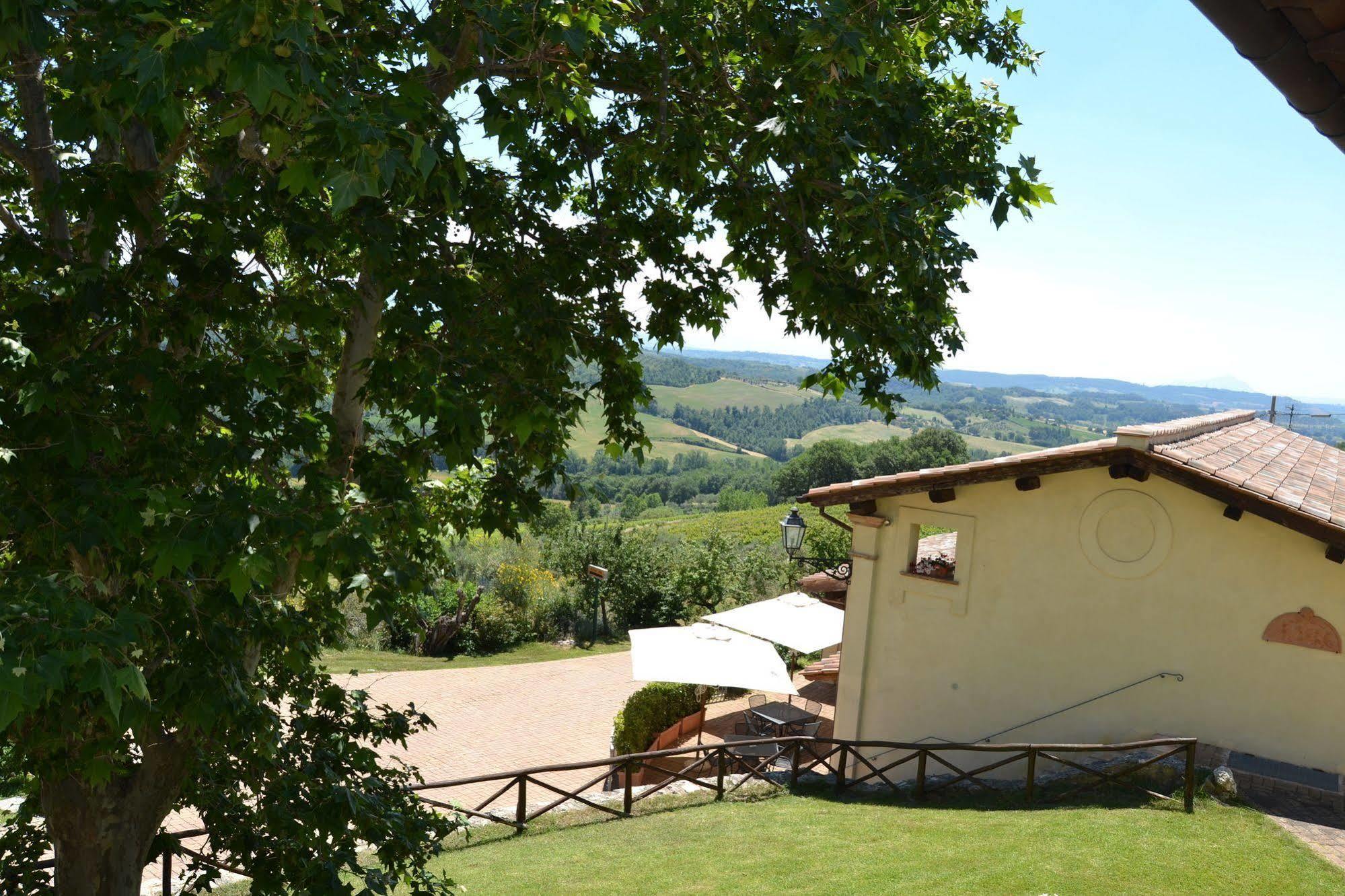 Tenuta Pizzogallo Amelia Bagian luar foto